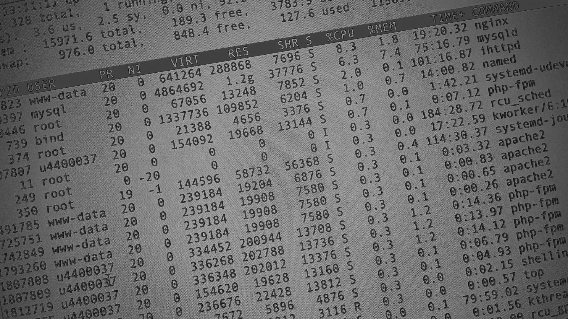 Настройка сервера в Плавске