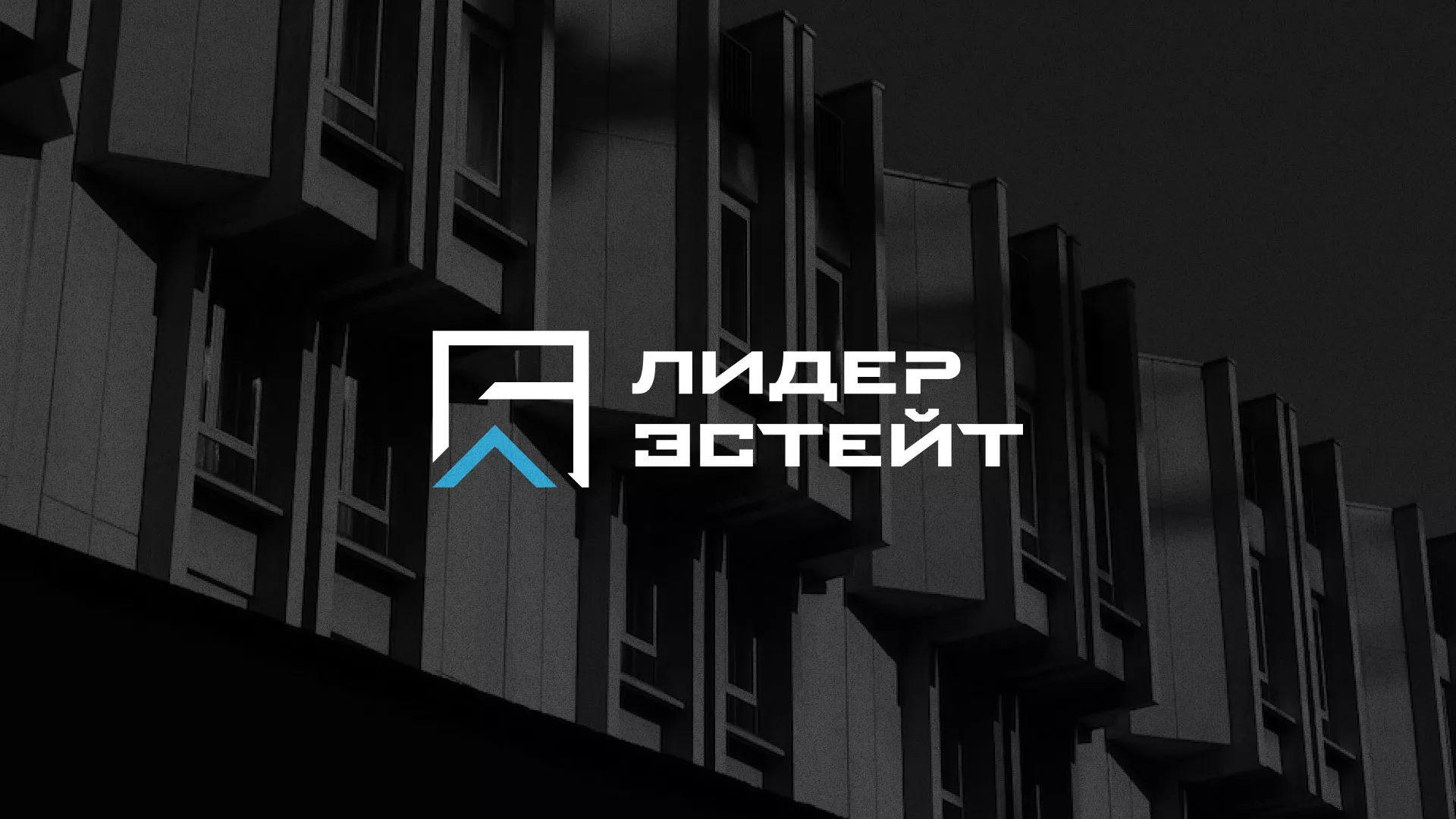 Разработка логотипа агентства недвижимости «Лидер Эстейт» в Плавске