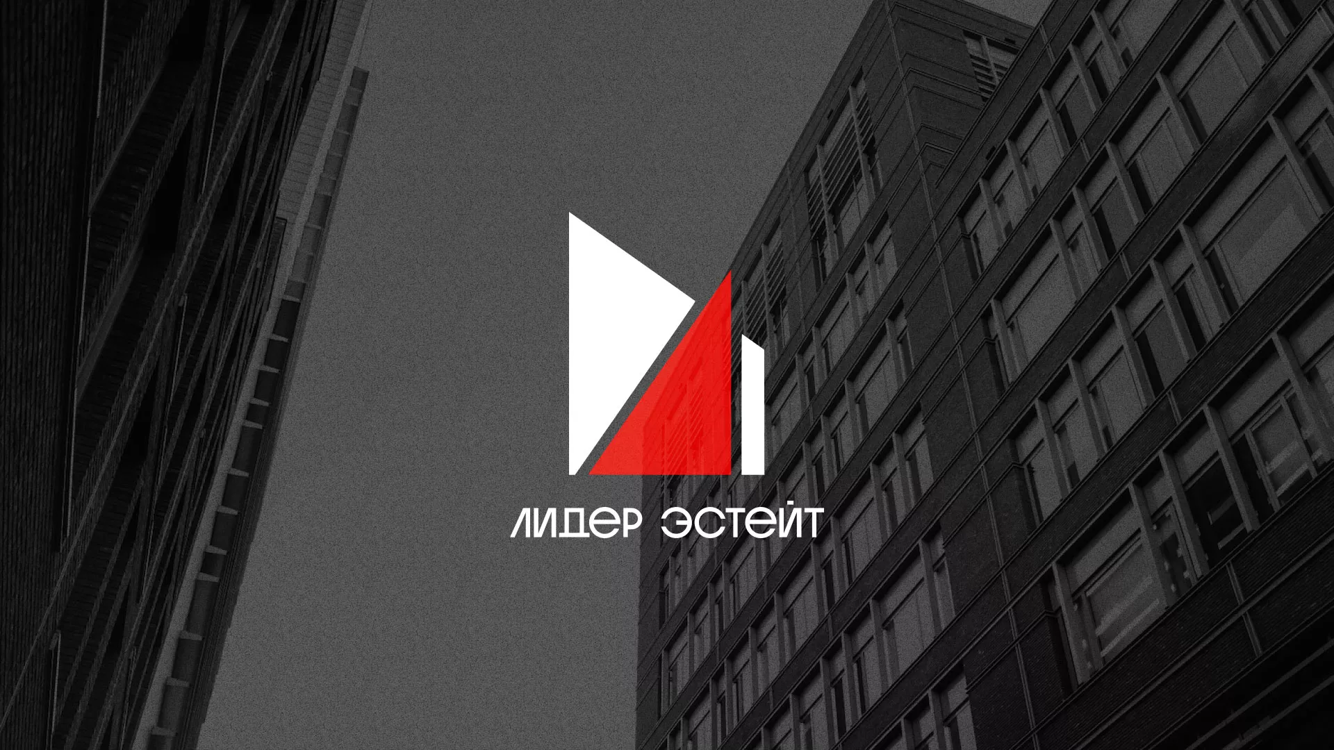 Сделали логотип для агентства недвижимости «Лидер Эстейт» в Плавске